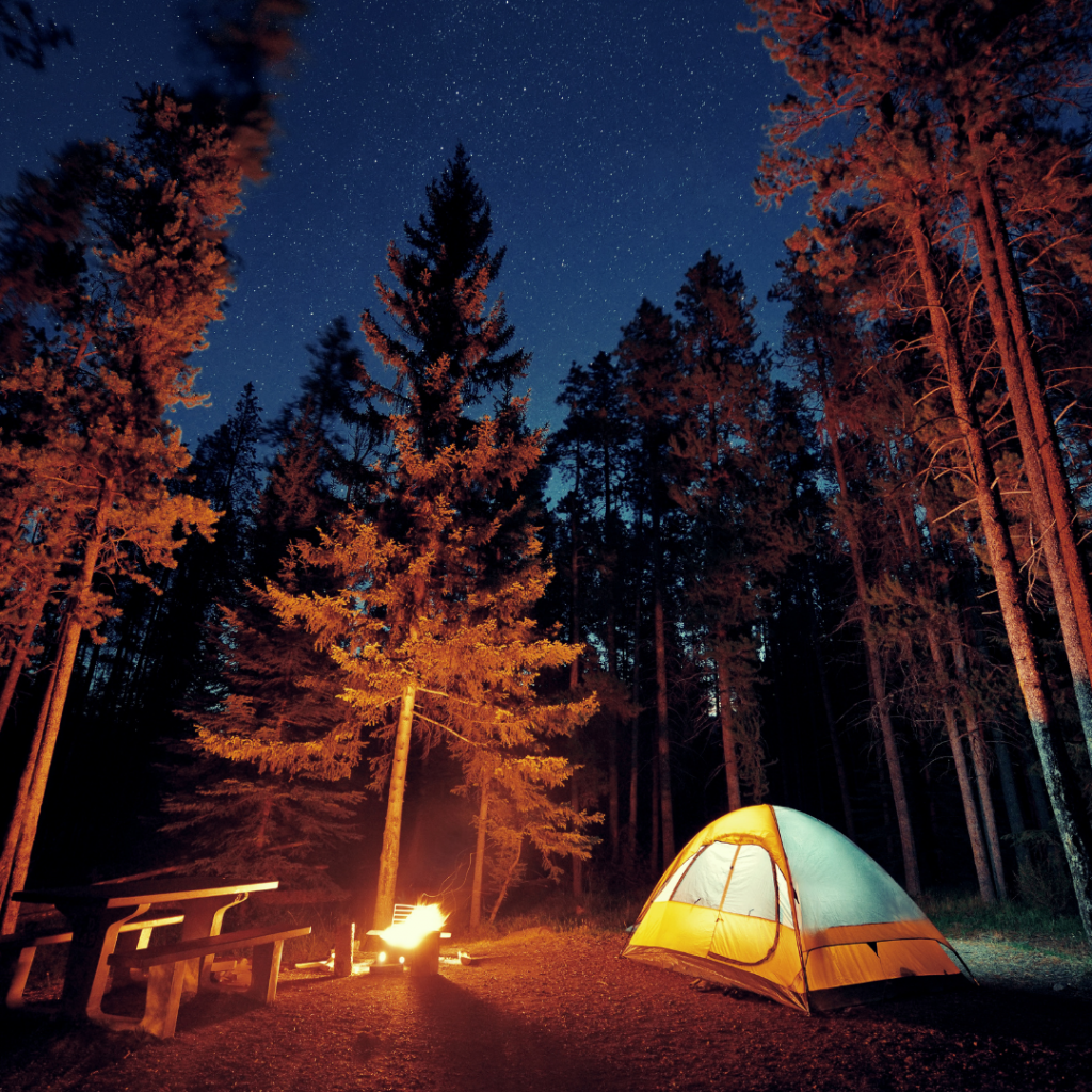 Camping Trip Tips